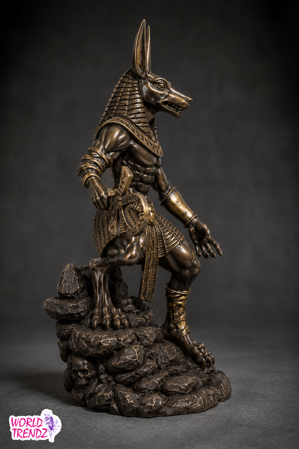 A detailed bronze-finished statue of Anubis, the Egyptian deity with a canine head and human body, standing on a rocky base with a skull at its feet, photographed against a dark gray studio background.
