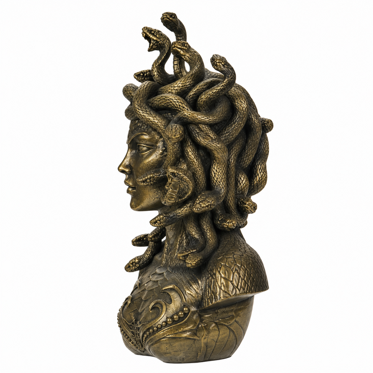 Medusa Bust on a white background