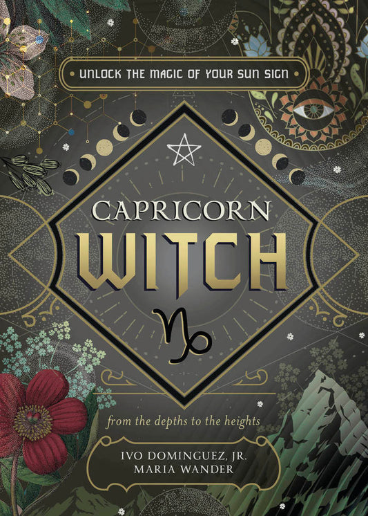 Capricorn Sun Sign Series Book Cover