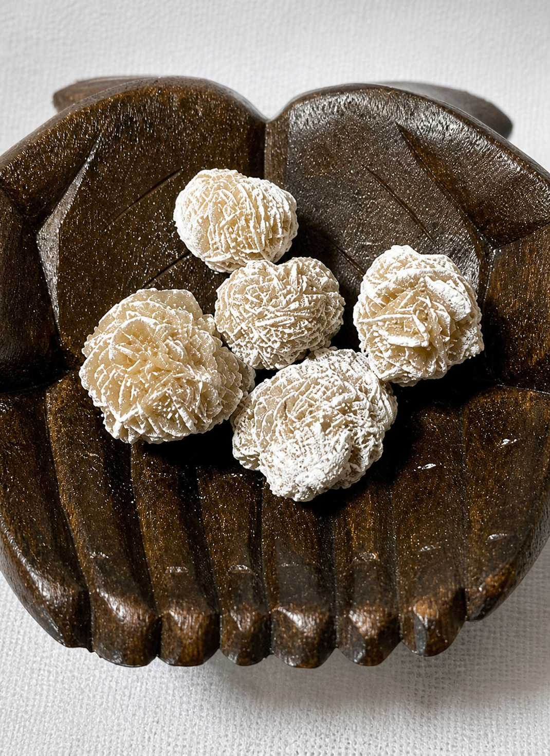 Desert Roses in Wooden Hands
