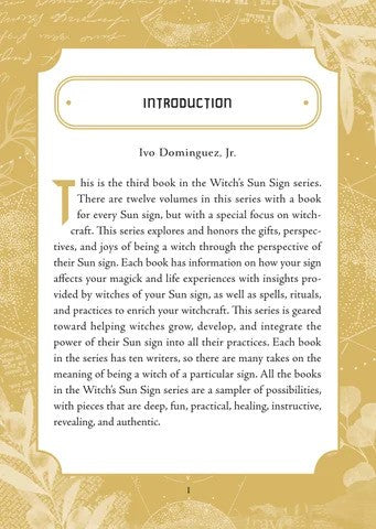 Gemini Sun Sign Series Book Introduction