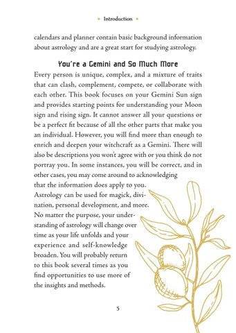 Gemini Sun Sign Series Book pg. 5