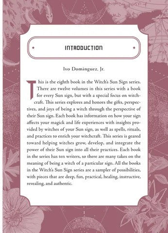 Scorpio Sun Sign Series Book Introduction