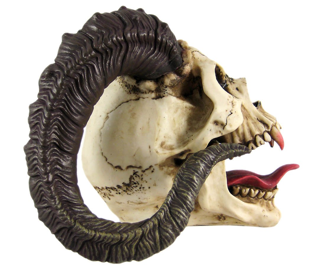 Skull of the Horned Beast Statue – Detailed Ram-Horned Skull with Vampire Fangs – Cold Cast Resin Nightmare Creature Sculpture 1