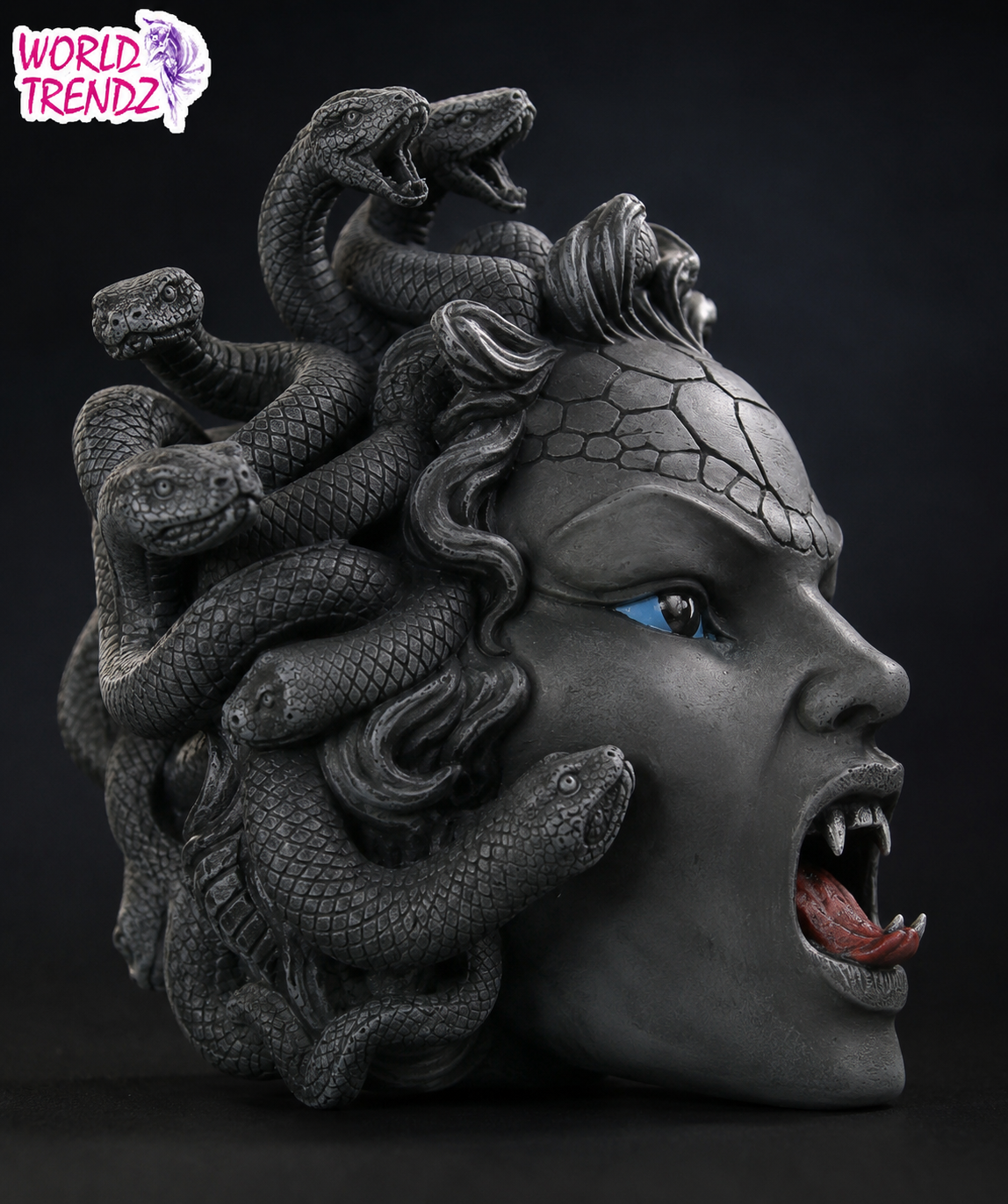 A dark gray Medusa head sculpture with multiple coiled snakes in her hair, one eye rendered in bright blue, and an open mouth showing teeth and tongue, photographed against a black background. A 'World Trendz' logo appears in the top-left corner.