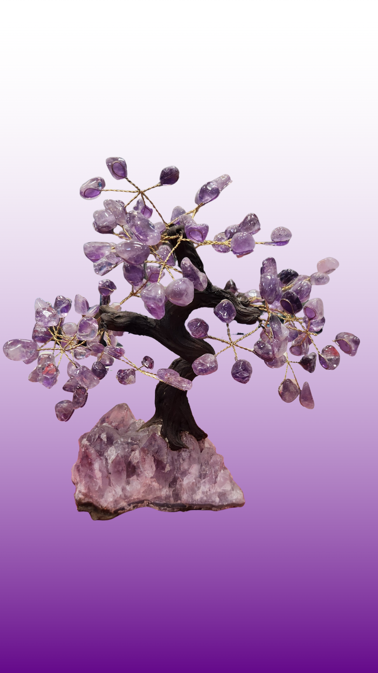 Amethyst crystal tree on a purple background