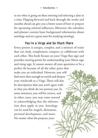 Virgo Sun Sign Series Book pg. 5
