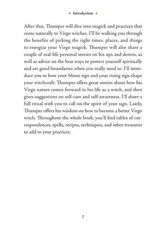 Virgo Sun Sign Series Book pg. 7