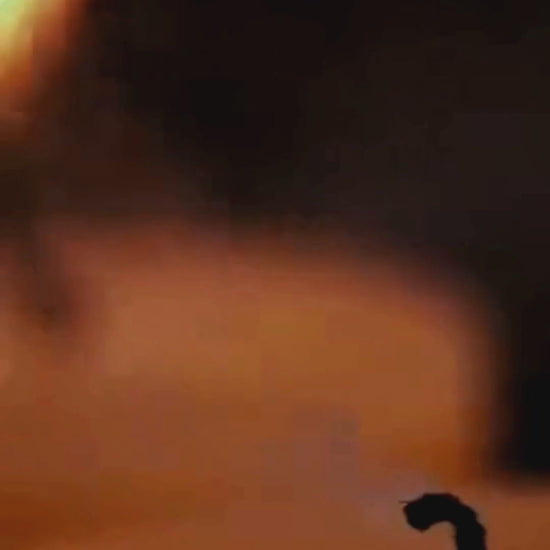 The Fool Tarot Pillar Candle Reel