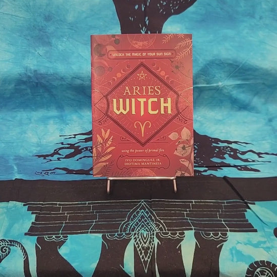 Ariest Witch Step Into Your Power Book Reel
