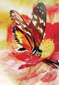Butterfly Affirmations