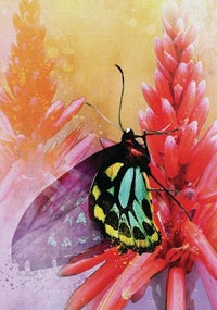 Butterfly Affirmations