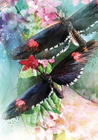 Butterfly Affirmations