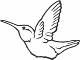 SILHOUETTE DREAMCATCHER JAR HUMMING BIRD