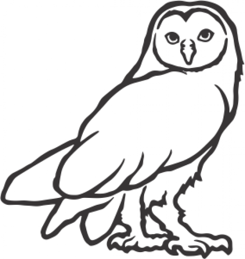 SILHOUETTE DREAMCATCHER JAR OWL