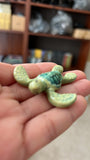 Green Sea Turtle (TX) 2” x 2”