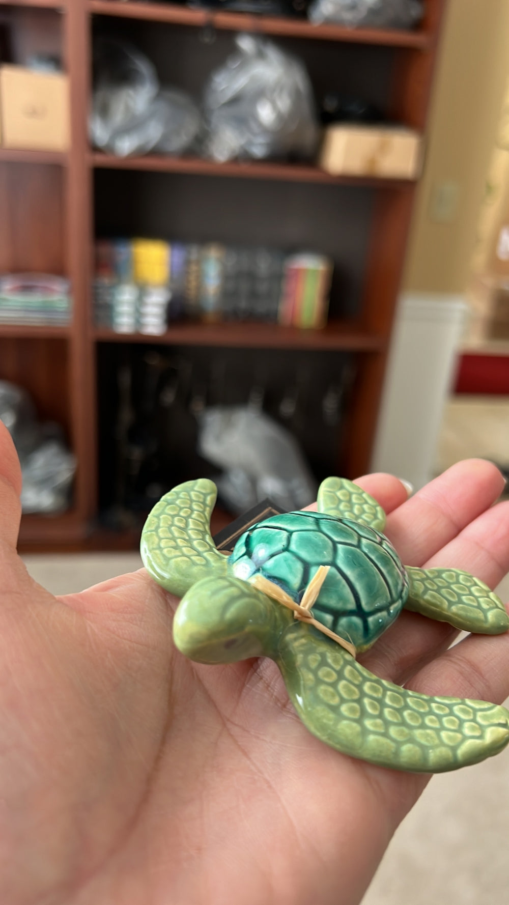 Small Green Sea Turtle (TS) 3” on Hand